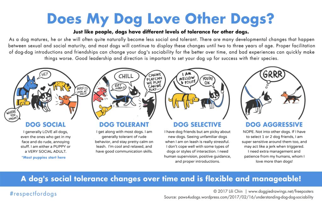 For Our Adopters – LOVEPAWS
