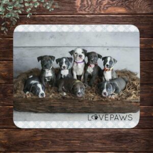 Country Music Puppies mouse pad