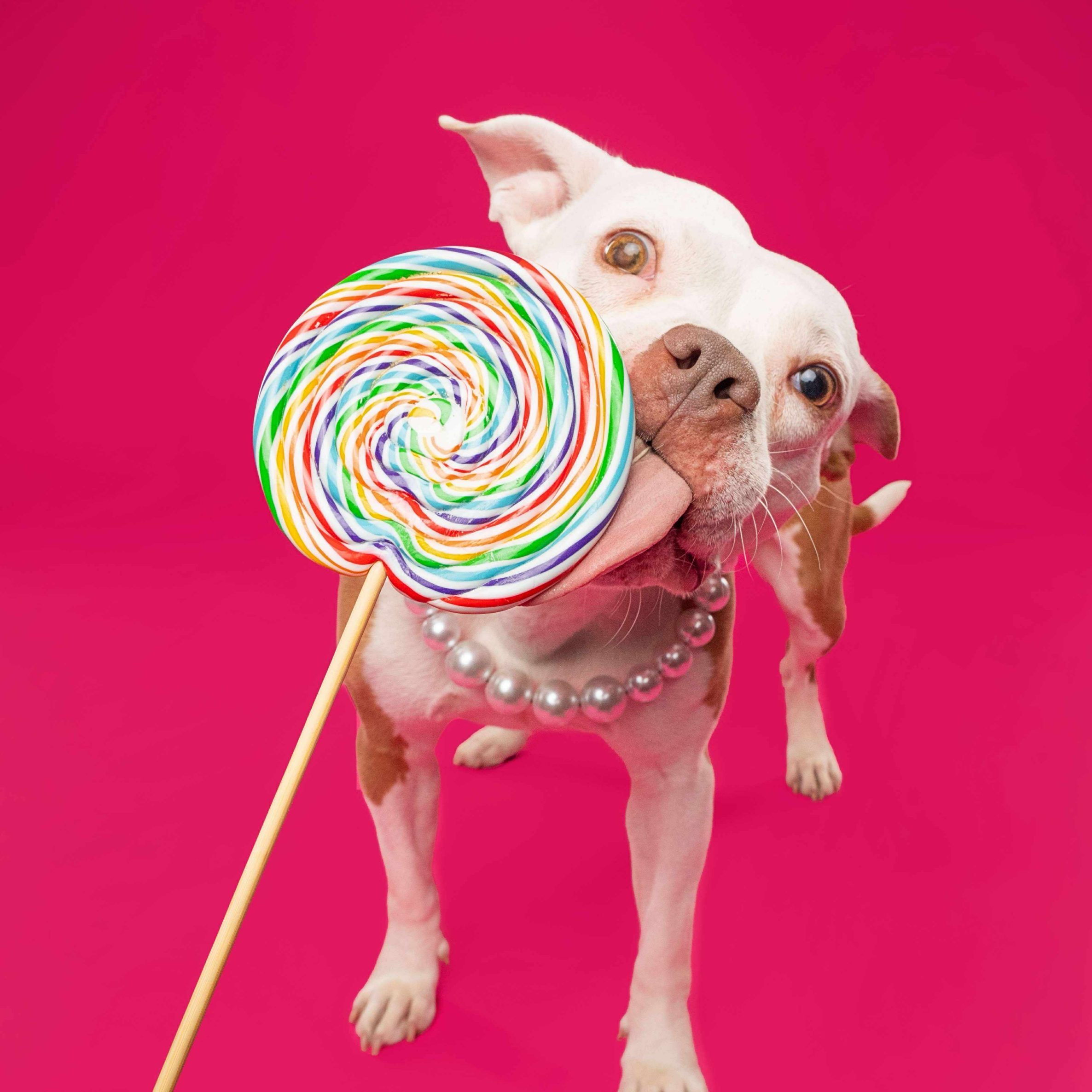 566034326_1126801492875114_3543903376061902773_n