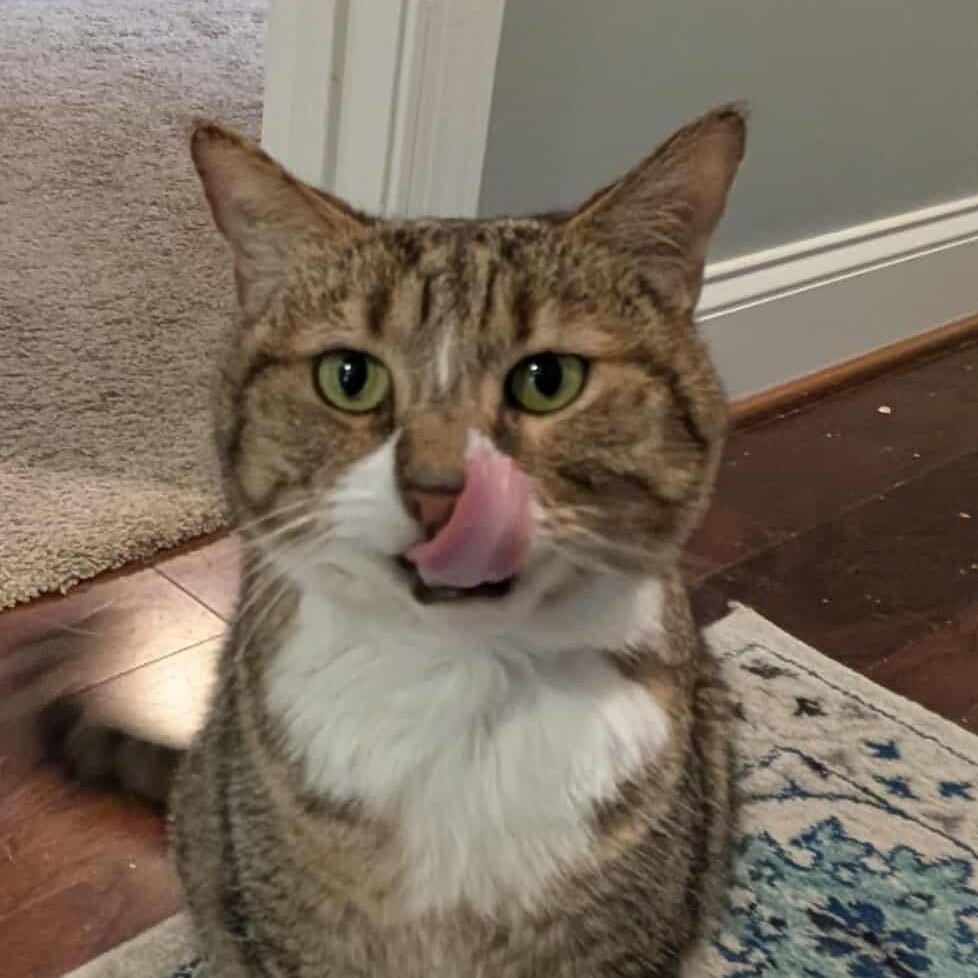 566509099_1217255110178053_6621364862495086191_n