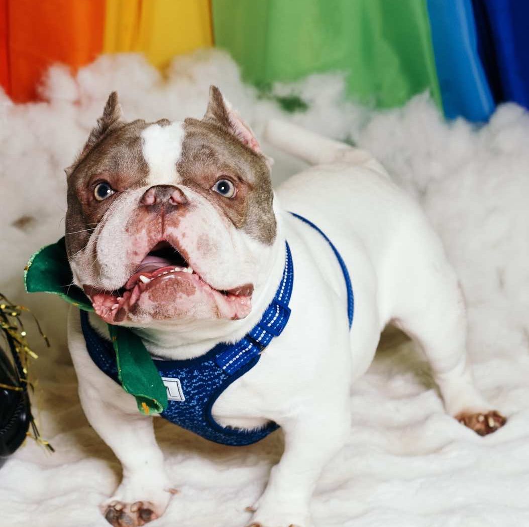 566543557_1866429167611292_6235014510025154858_n