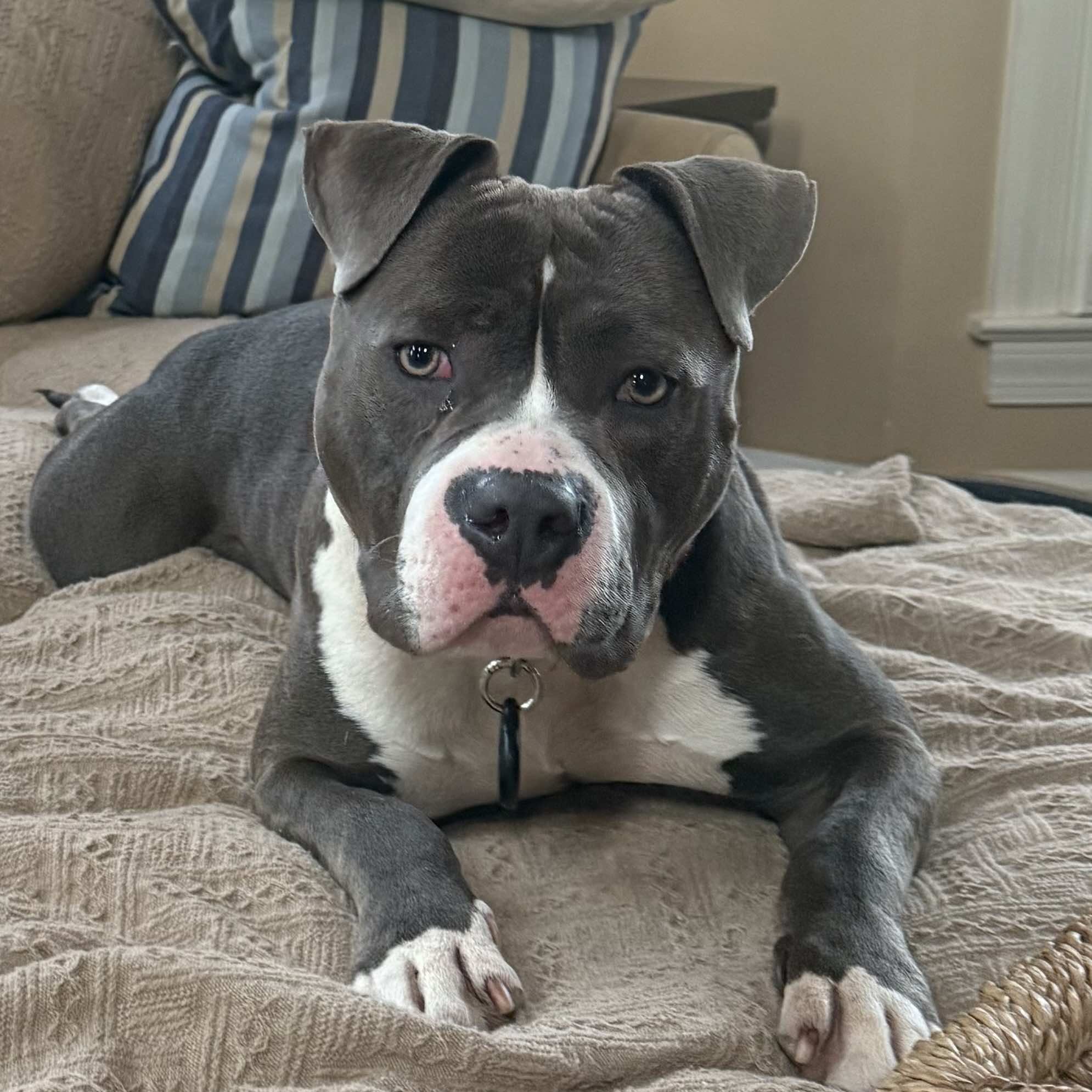 566566018_697315080076381_6282602230234397020_n