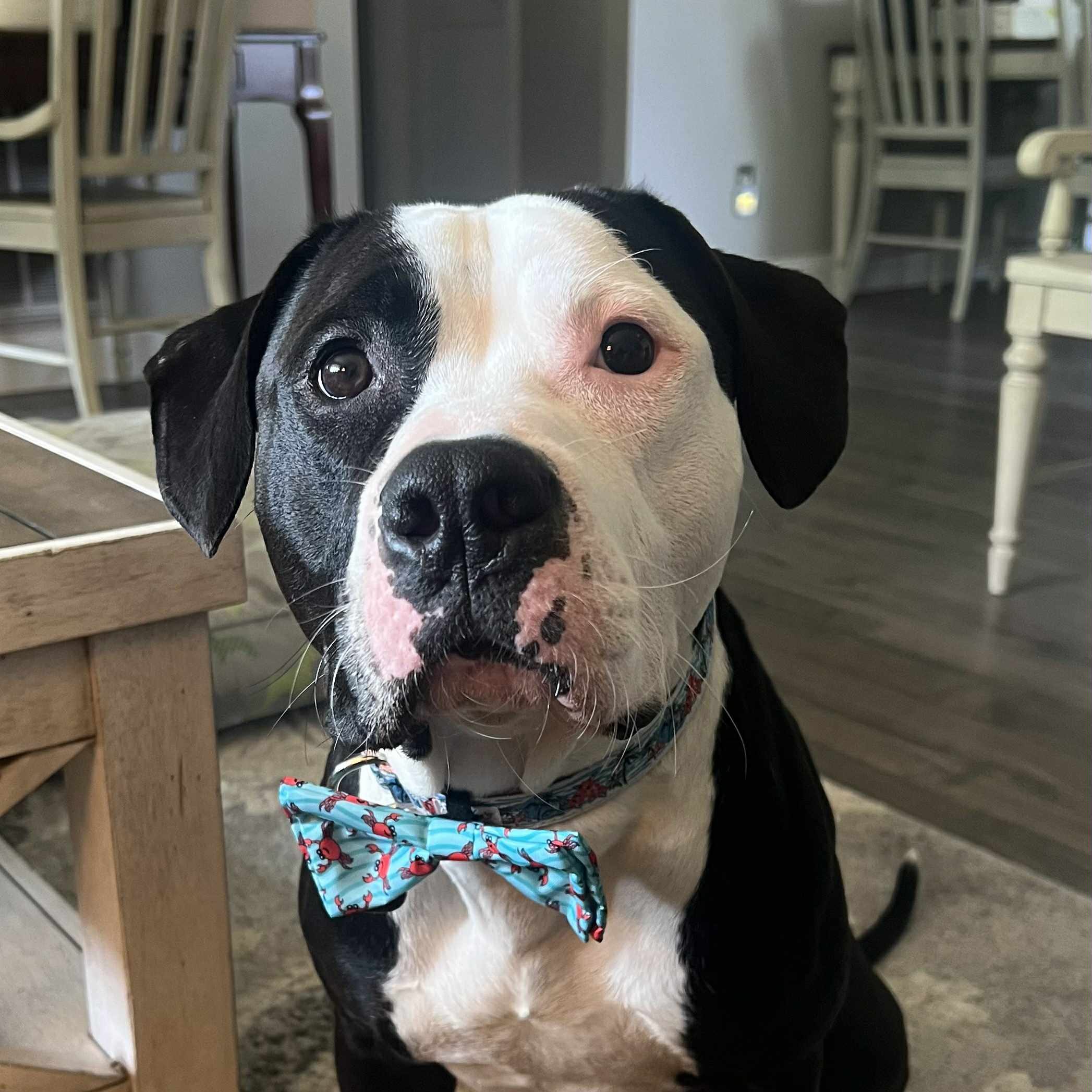 567544666_675172022316550_4423596583940409355_n