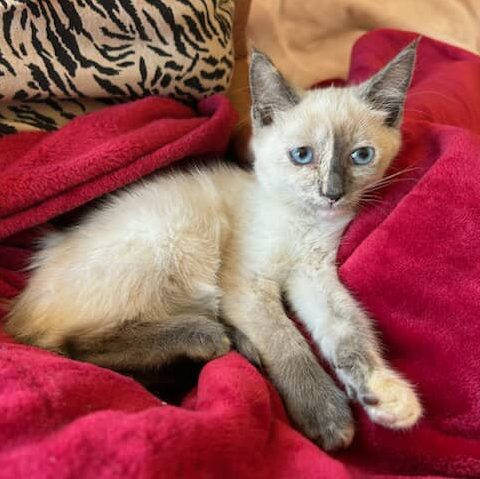 568654630_702936962837743_5139882586919622717_n