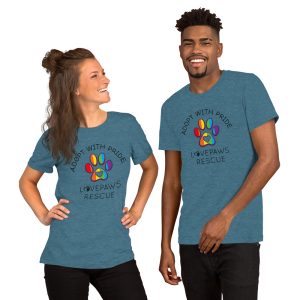 Adopt with Pride Unisex t-shirt