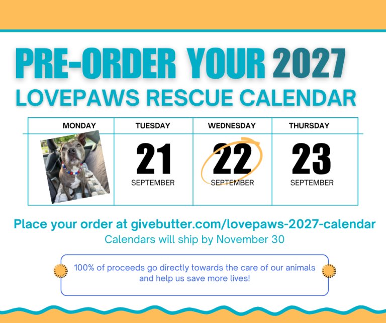 LOVEPAWS - Calendar 2027