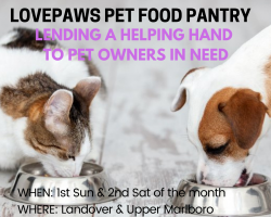 LOVEPAWS PET FOOD PANTRY (8)