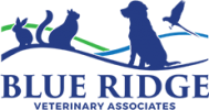 blie ridge vet logo